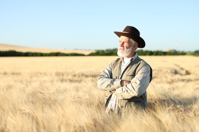 Photo of Senior farmer in field with ripe wheat outdoors, space for text