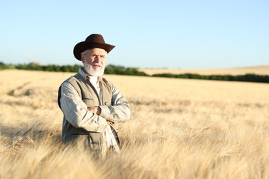 Photo of Senior farmer in field with ripe wheat outdoors, space for text