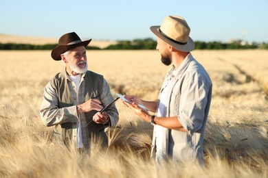 Photo of Farmers in field with ripe wheat outdoors