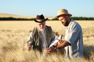 Photo of Farmers in field with ripe wheat outdoors