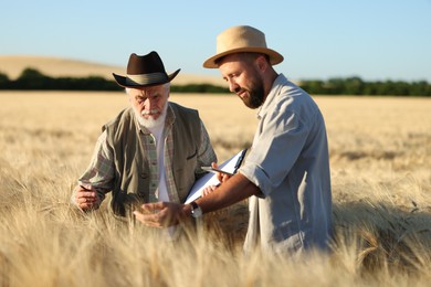 Photo of Farmers in field with ripe wheat outdoors