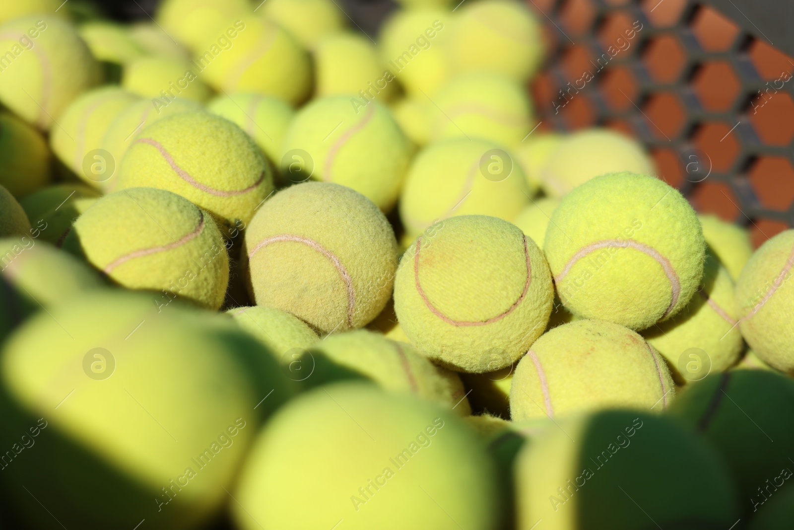 Many tennis balls in cart outdoors, closeup Photo of Many tennis balls in cart outdoors, closeup