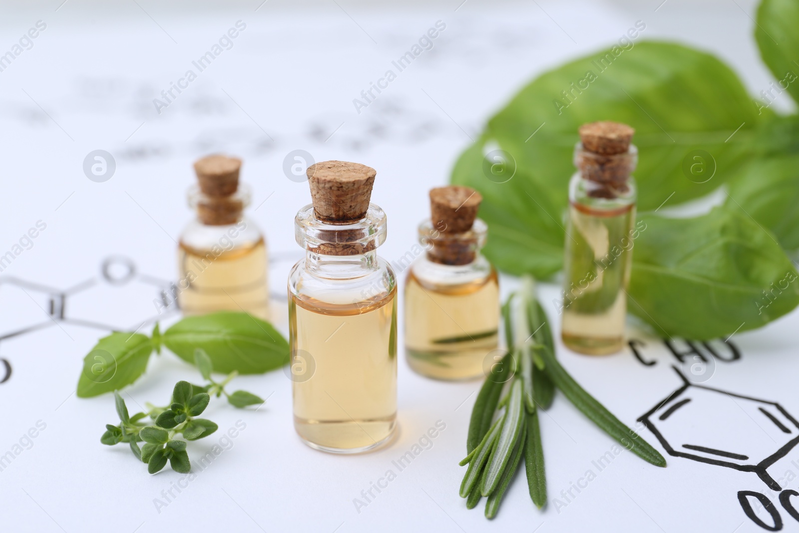 Different herbs and bottles of cosmetic products on paper with chemical formulas, closeup Photo of Different herbs and bottles of cosmetic products on paper with chemical formulas, closeup