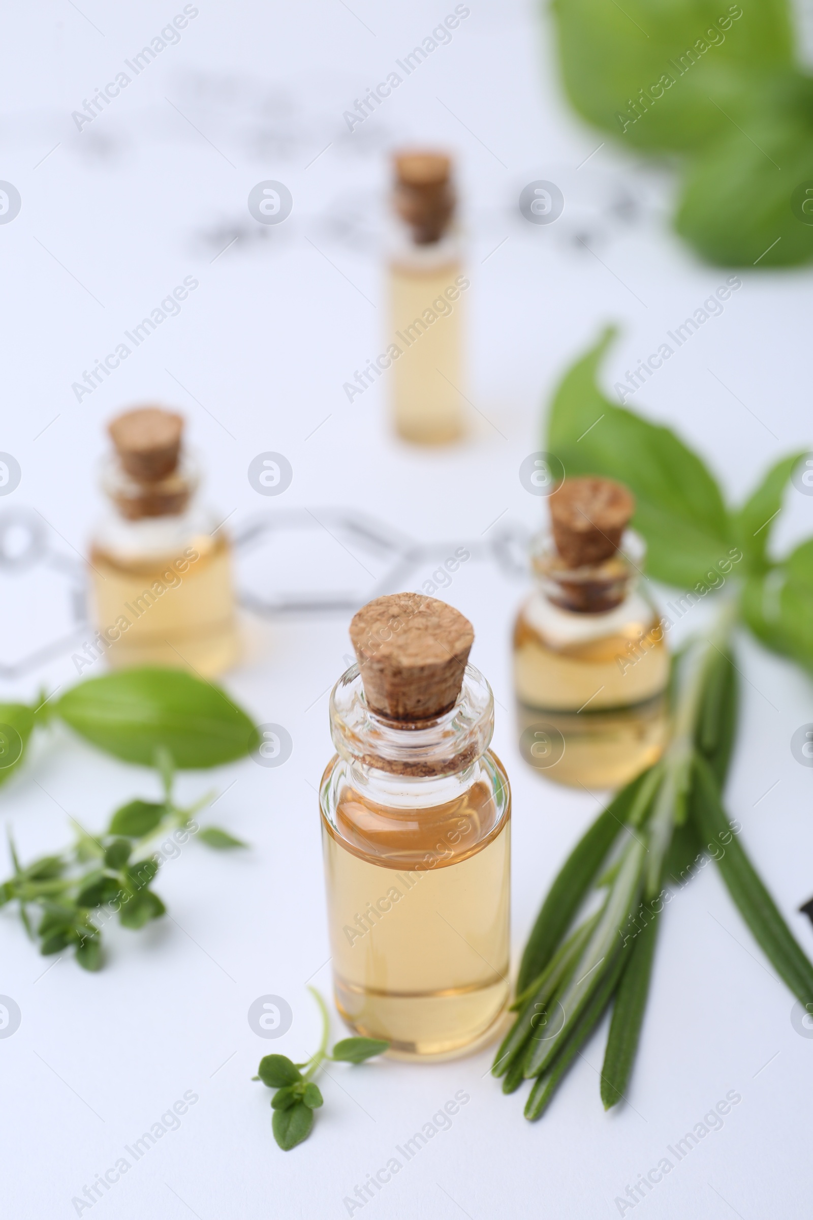 Different herbs and bottles of cosmetic products on paper with chemical formulas, closeup Photo of Different herbs and bottles of cosmetic products on paper with chemical formulas, closeup