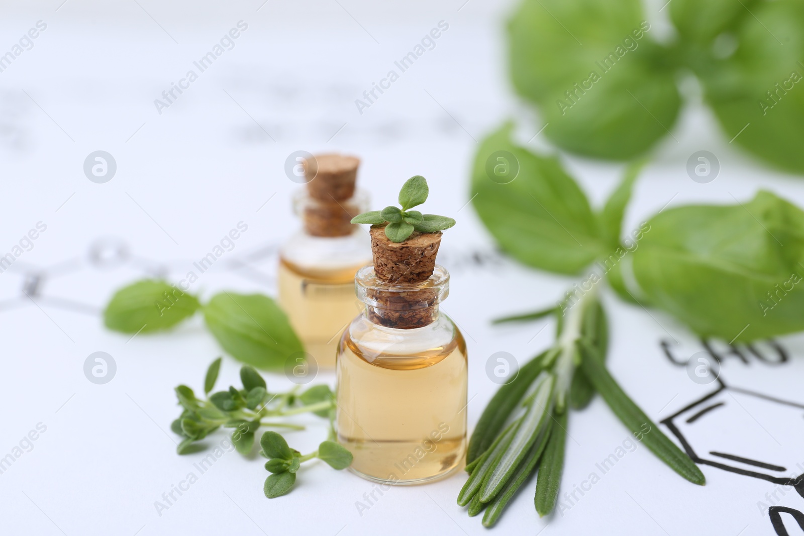 Photo of Different herbs and bottles of cosmetic products on paper with chemical formulas, closeup
