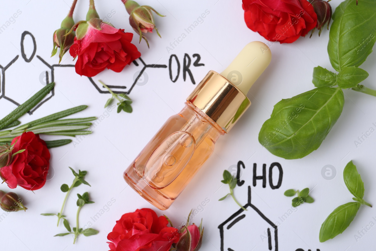 Bottle of cosmetic product, herbs and red roses on paper with chemical formulas, flat lay Photo of Bottle of cosmetic product, herbs and red roses on paper with chemical formulas, flat lay