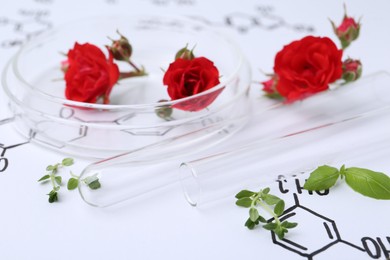Photo of Petri dish, test tube, herbs and red roses on paper with chemical formulas, closeup