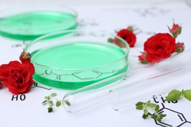 Photo of Petri dishes of samples, test tube, herbs and red roses on paper with chemical formulas, closeup