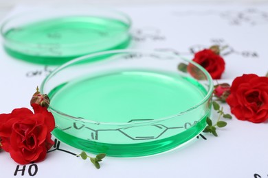 Photo of Petri dishes of samples, herbs and red roses on paper with chemical formulas, closeup