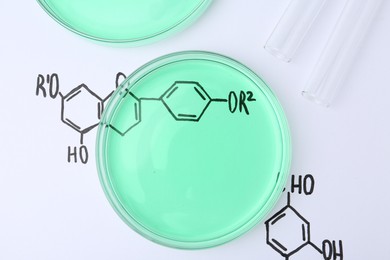 Photo of Petri dishes of samples and test tubes on paper with chemical formulas, flat lay