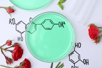 Photo of Petri dishes of samples, test tubes, herbs and red roses on paper with chemical formulas, flat lay