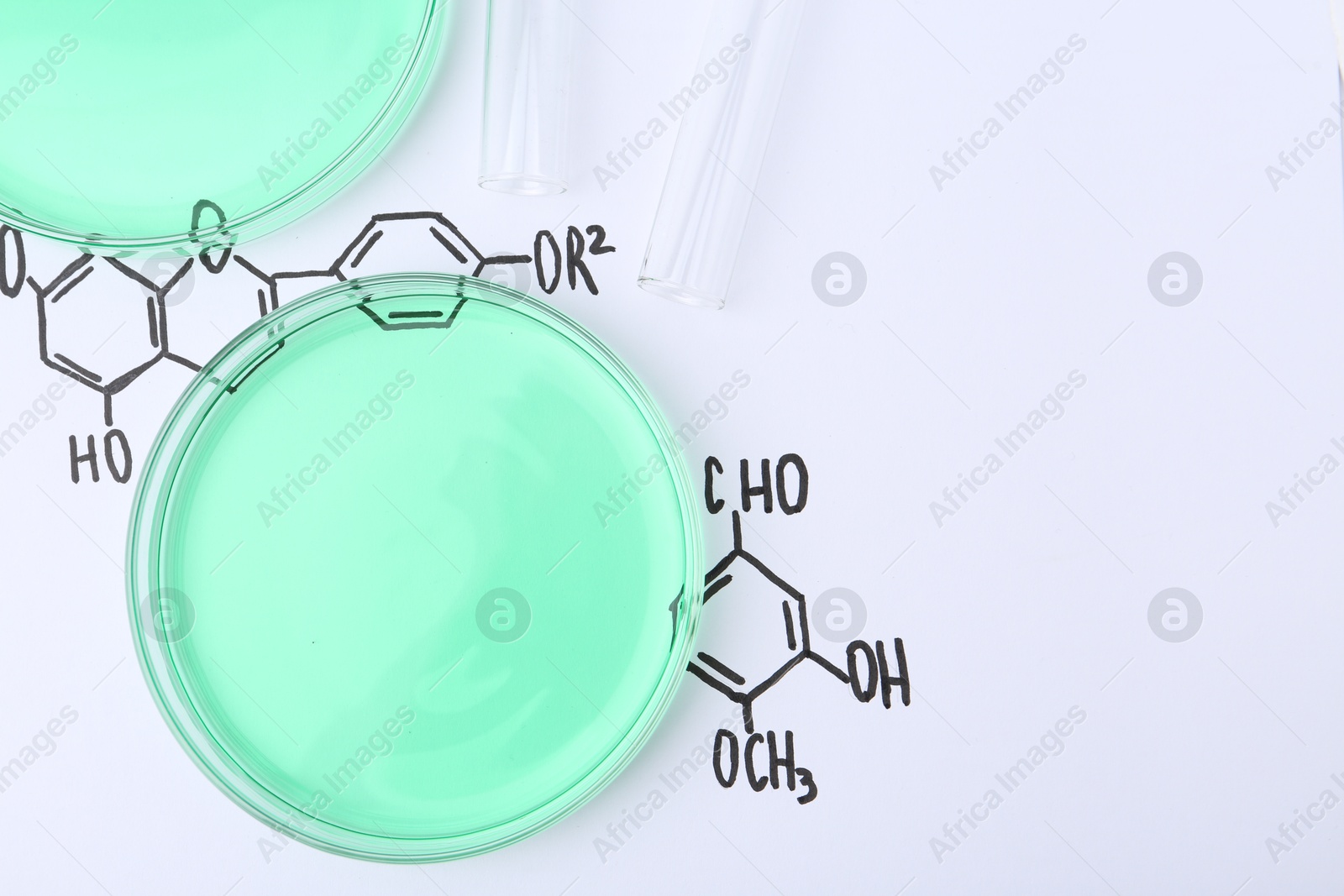 Petri dishes of samples and test tubes on paper with chemical formulas, flat lay. Space for text Photo of Petri dishes of samples and test tubes on paper with chemical formulas, flat lay. Space for text