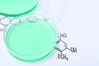 Photo of Petri dishes of samples and test tubes on paper with chemical formulas, closeup. Space for text