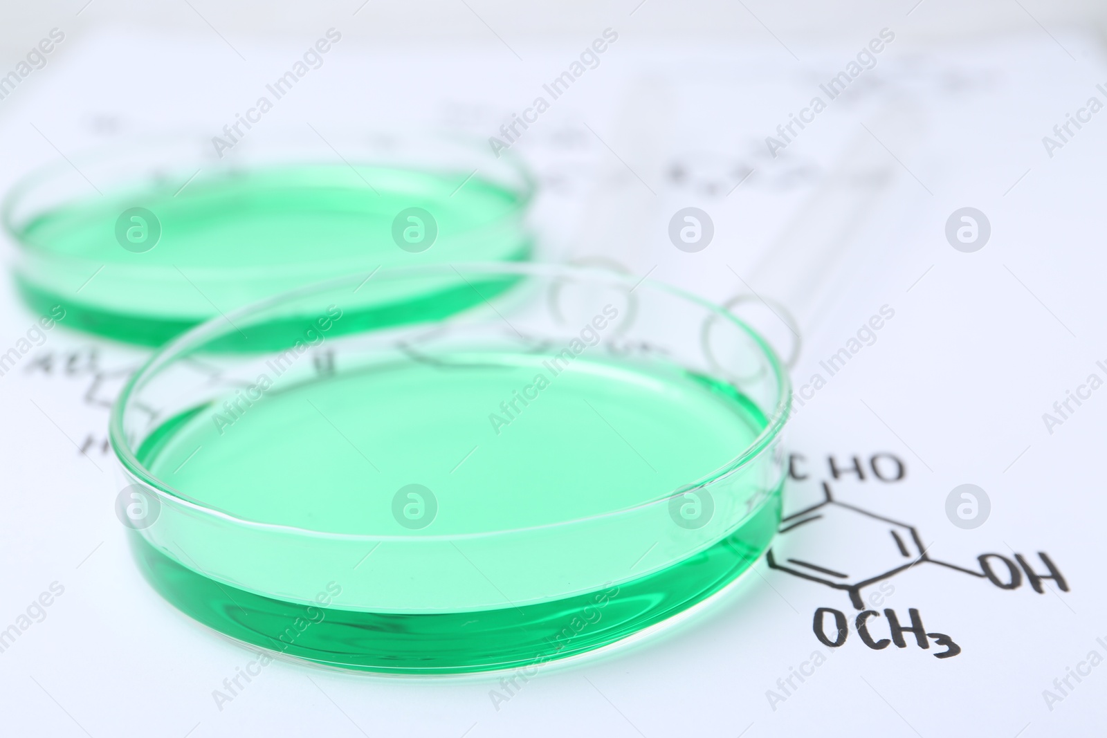 Petri dishes of samples and test tubes on paper with chemical formulas, closeup Photo of Petri dishes of samples and test tubes on paper with chemical formulas, closeup