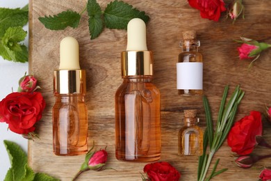 Photo of Bottles of essential oils, red roses and herbs on table, flat lay
