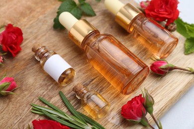 Photo of Bottles of essential oils, red roses and herbs on table, closeup
