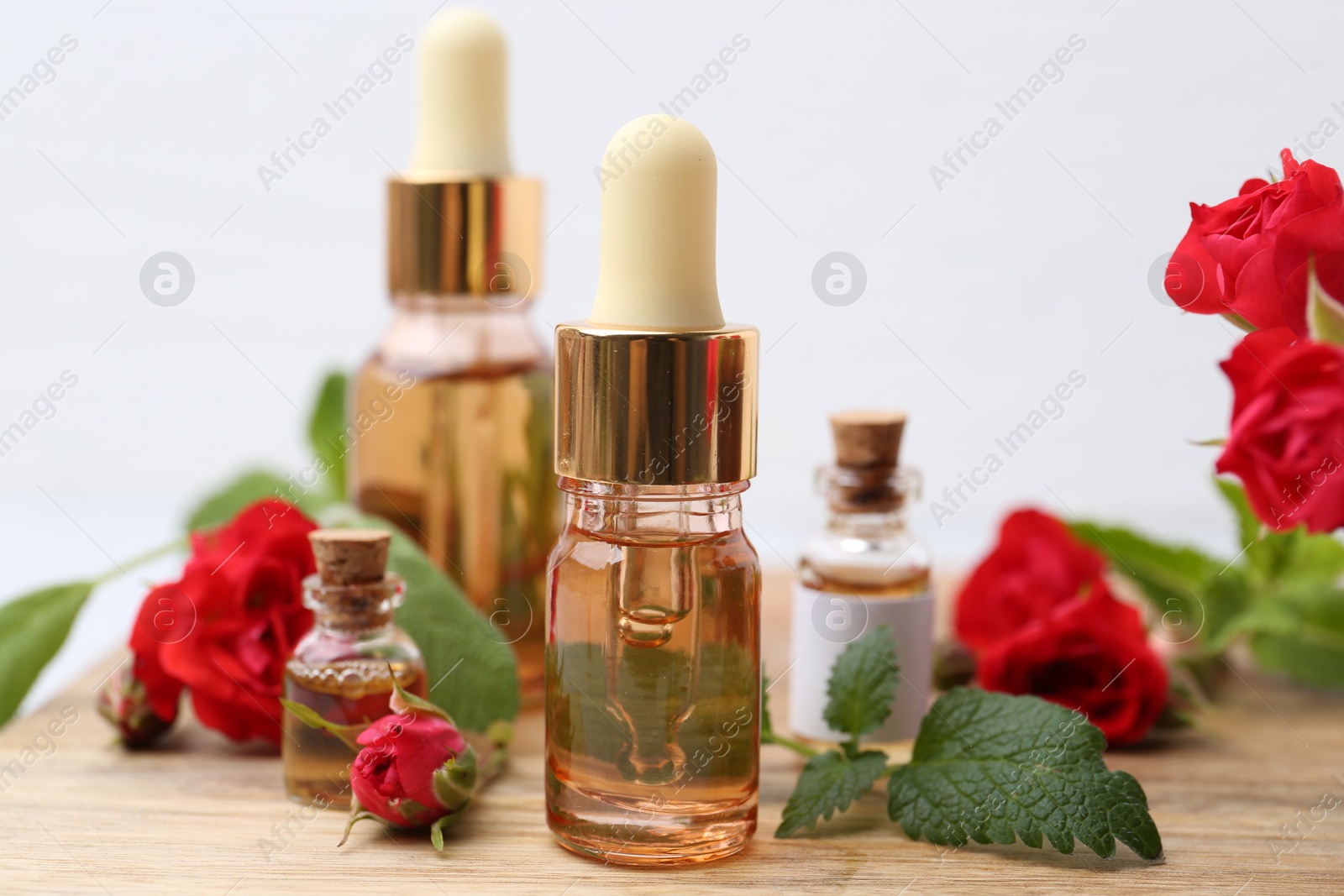 Photo of Bottles of essential oils, red roses and herbs on wooden table, closeup