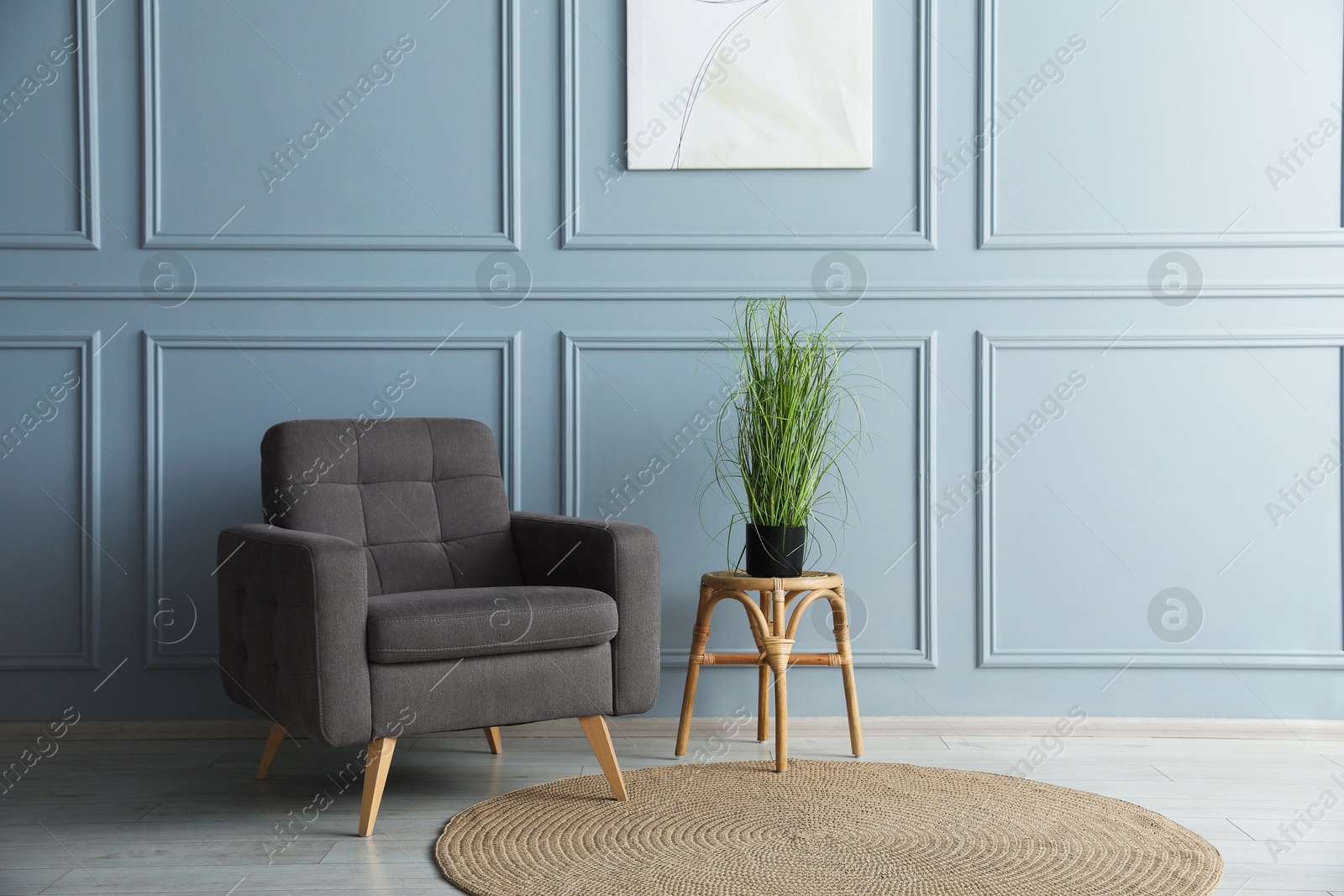 Comfortable armchair and houseplant near light blue wall indoors Photo of Comfortable armchair and houseplant near light blue wall indoors