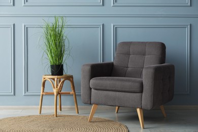 Photo of Comfortable armchair and houseplant near light blue wall indoors