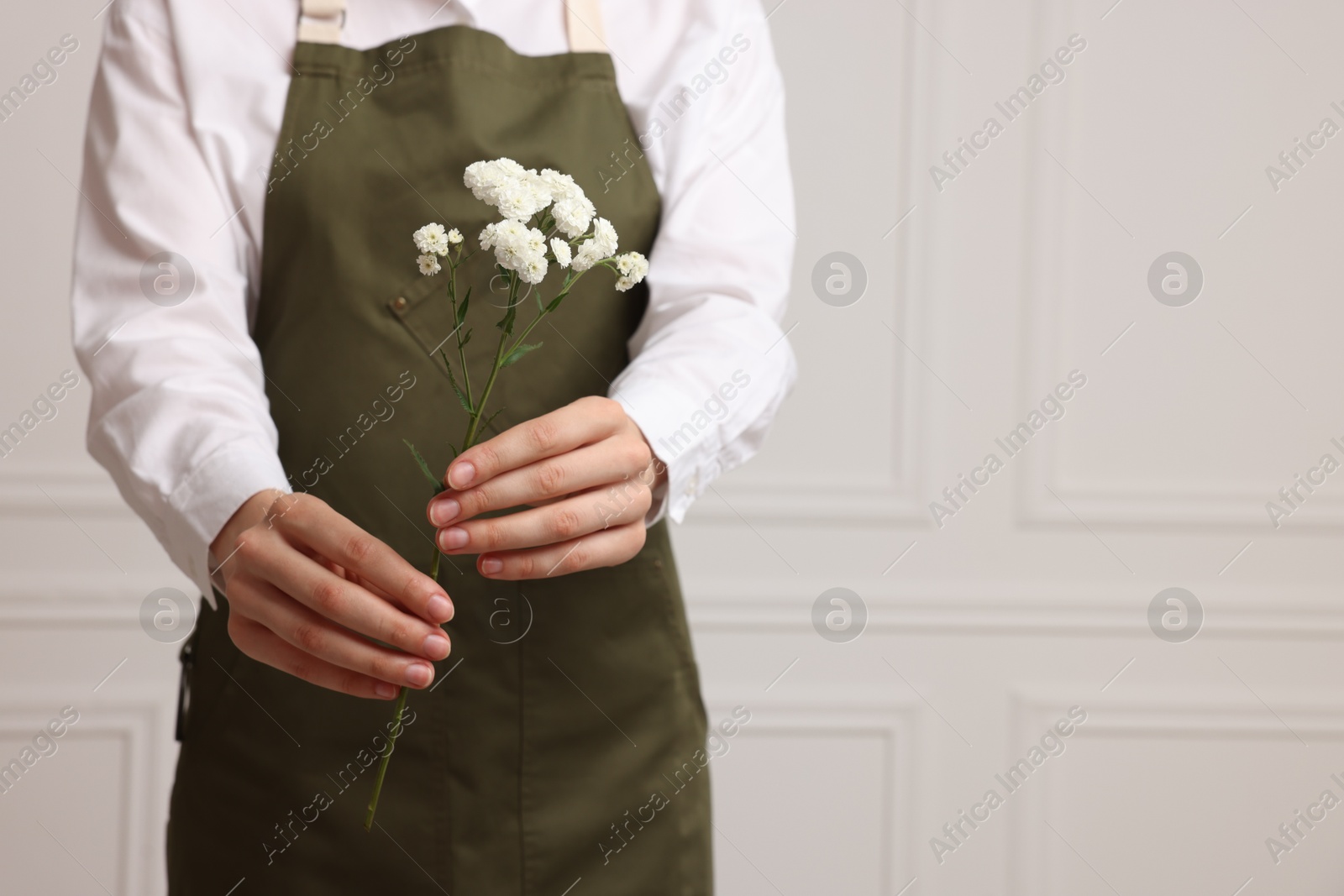 Florist with beautiful flowers near white wall indoors, closeup. Space for text Photo of Florist with beautiful flowers near white wall indoors, closeup. Space for text