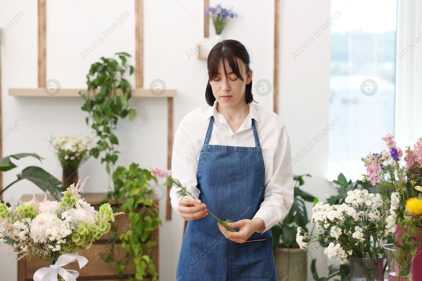 Florist making bouquet of flowers in shop Photo of Florist making bouquet of flowers in shop