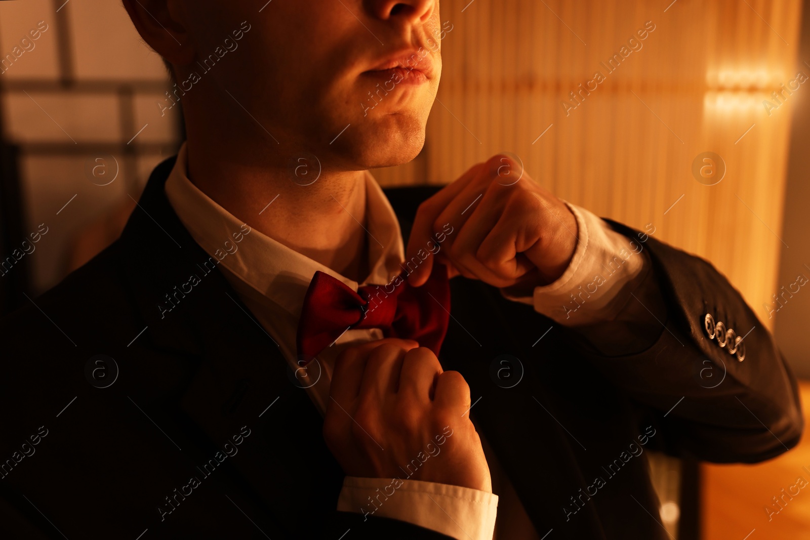 Man adjusting bow tie while getting ready indoors, closeup Photo of Man adjusting bow tie while getting ready indoors, closeup