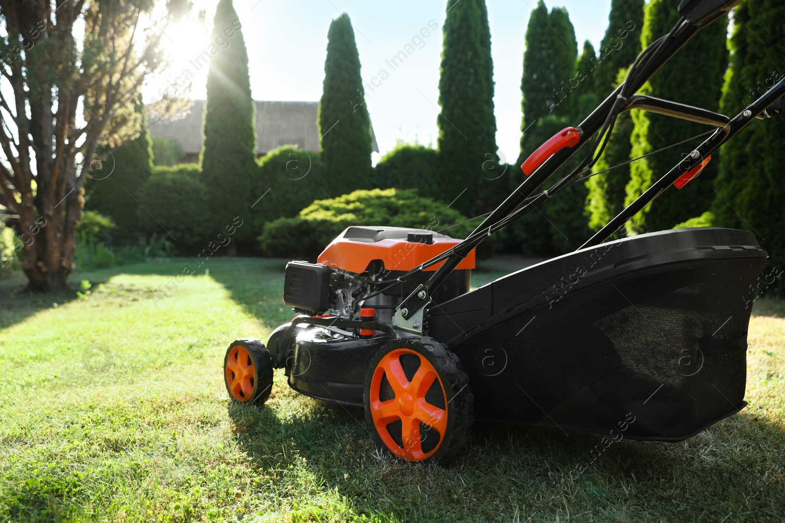 One lawn mower on green grass in garden, closeup. Space for text Photo of One lawn mower on green grass in garden, closeup. Space for text