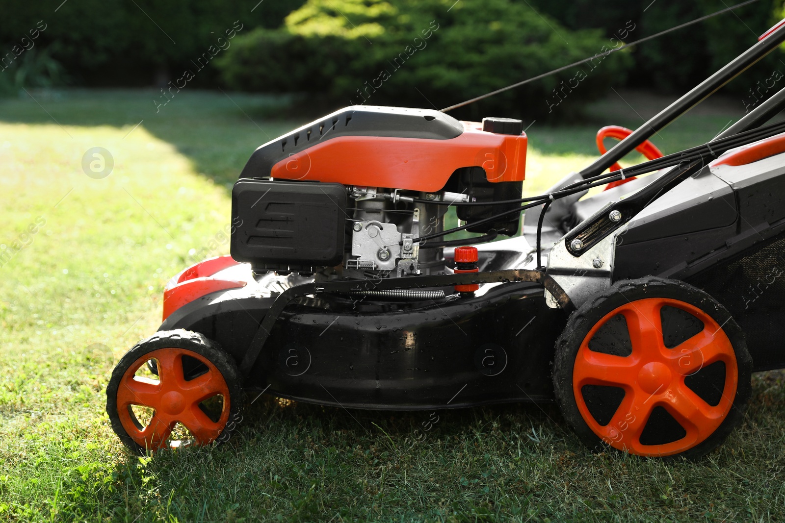 Photo of One lawn mower on green grass in garden, closeup