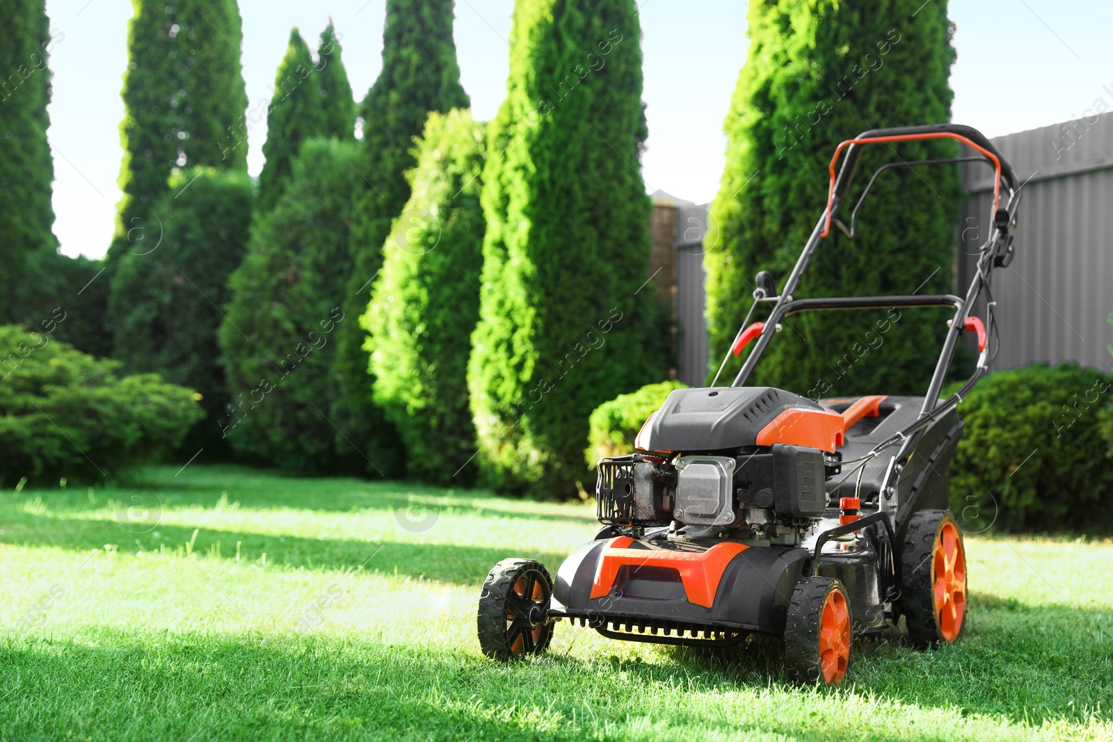 One lawn mower on green grass in garden, space for text Photo of One lawn mower on green grass in garden, space for text
