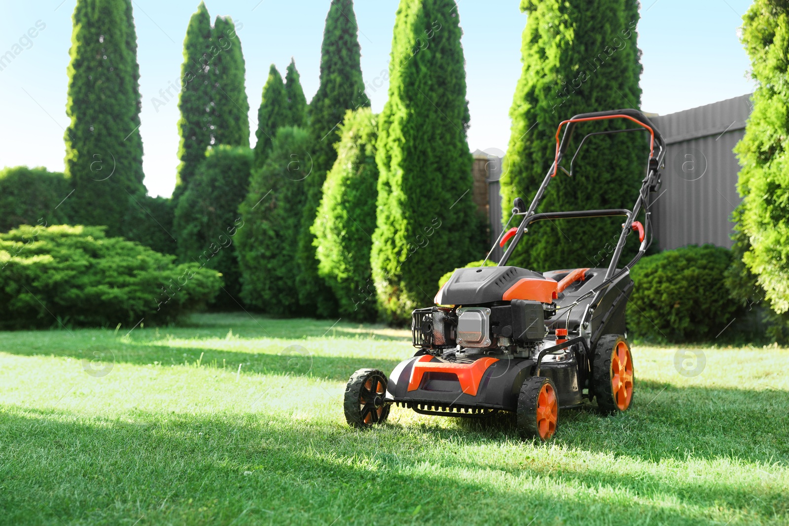 Photo of One lawn mower on green grass in garden, space for text