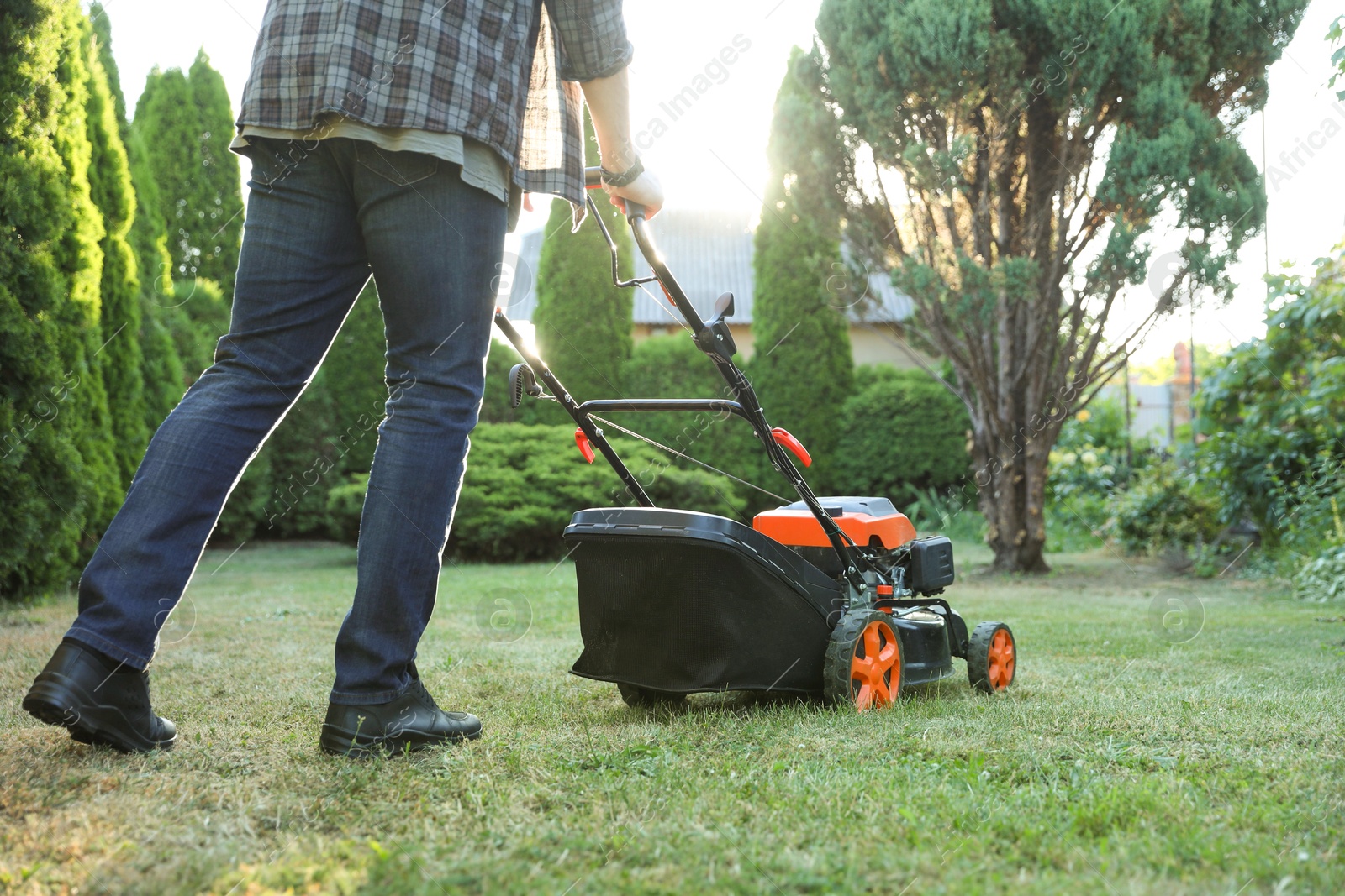 Photo of Man cutting green grass with lawn mower in garden, closeup