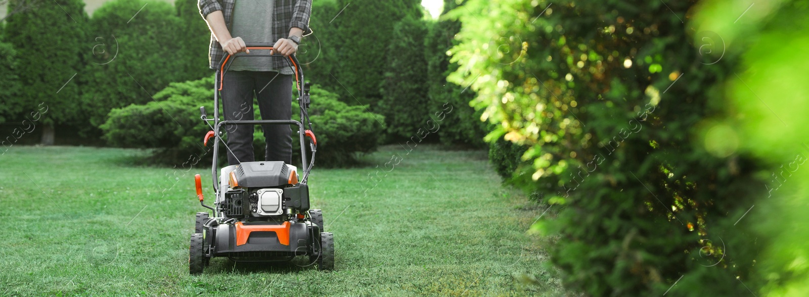 Photo of Man cutting green grass with lawn mower in garden, closeup