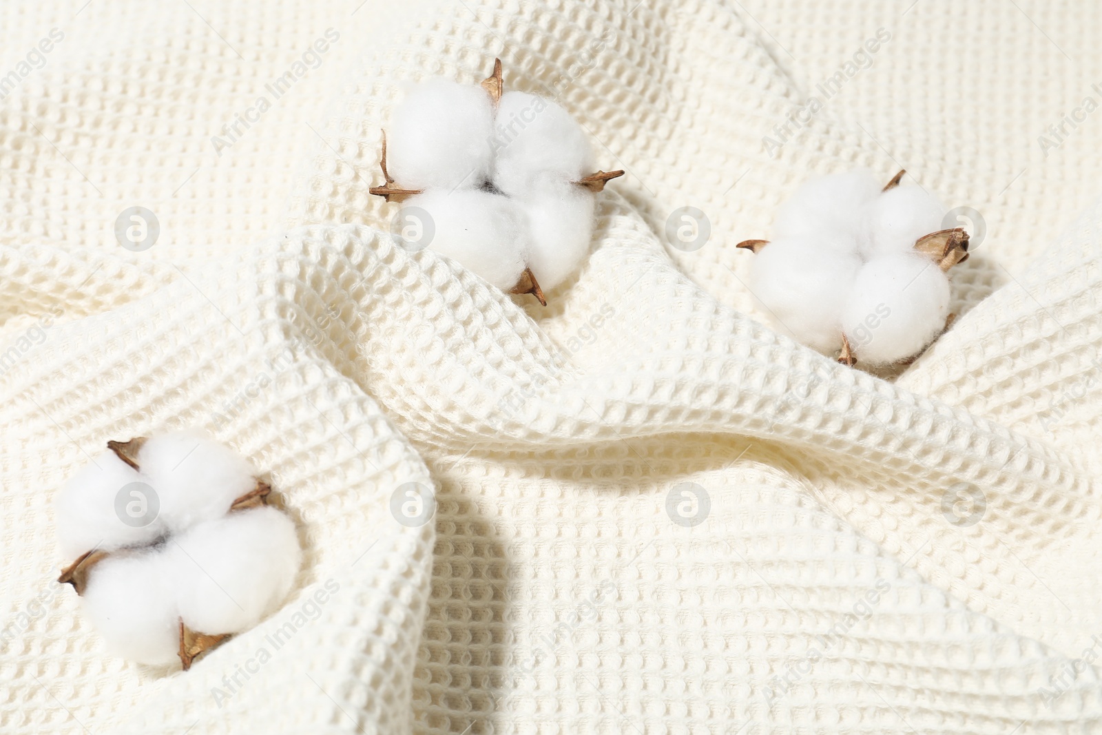Photo of Clean waffle towel and cotton flowers as background, top view