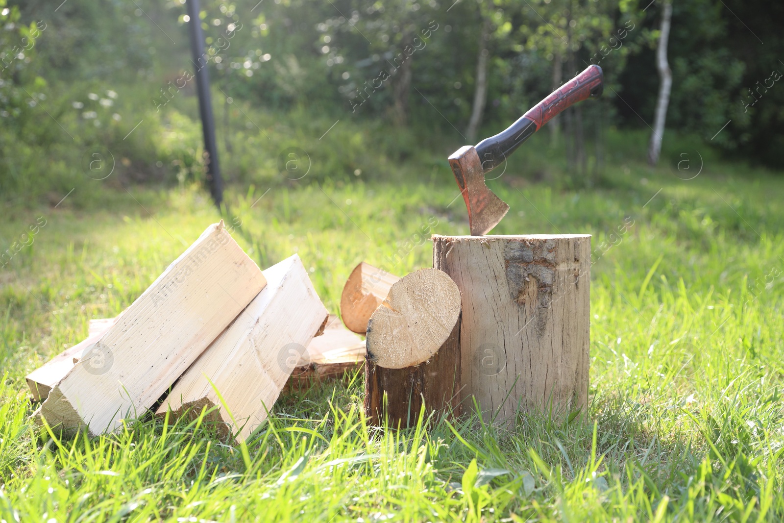 Metal axe, chopped firewood and wooden log on green grass outdoors Photo of Metal axe, chopped firewood and wooden log on green grass outdoors