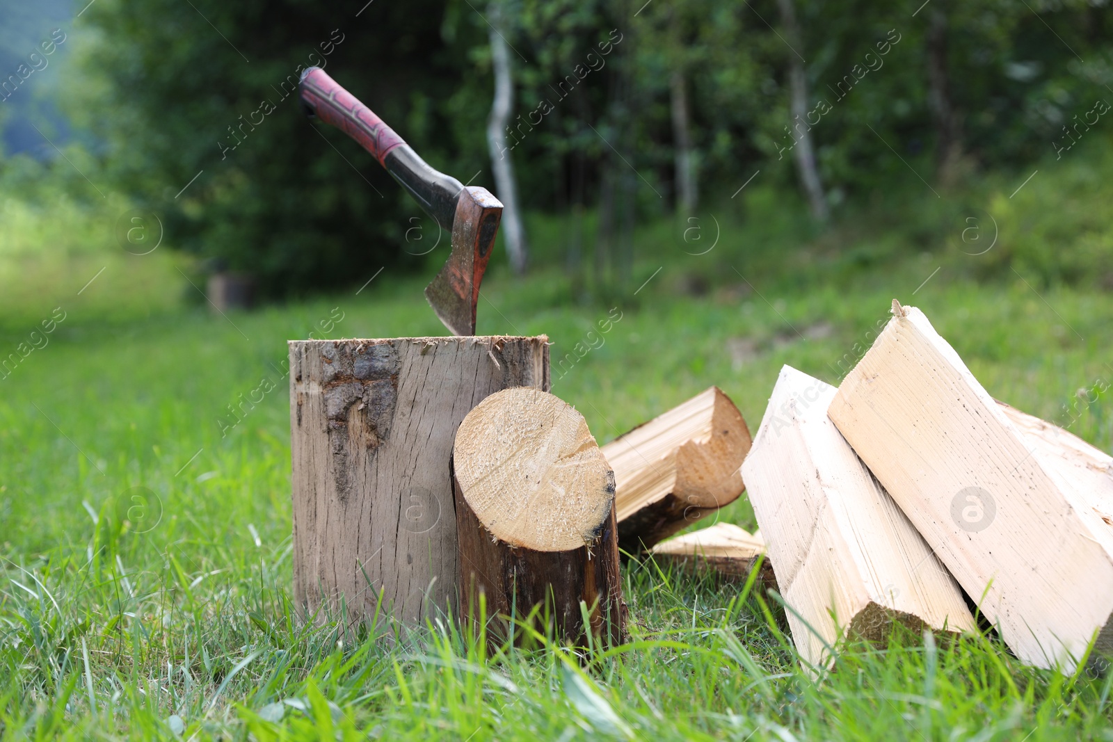 Metal axe, chopped firewood and wooden log on green grass outdoors Photo of Metal axe, chopped firewood and wooden log on green grass outdoors