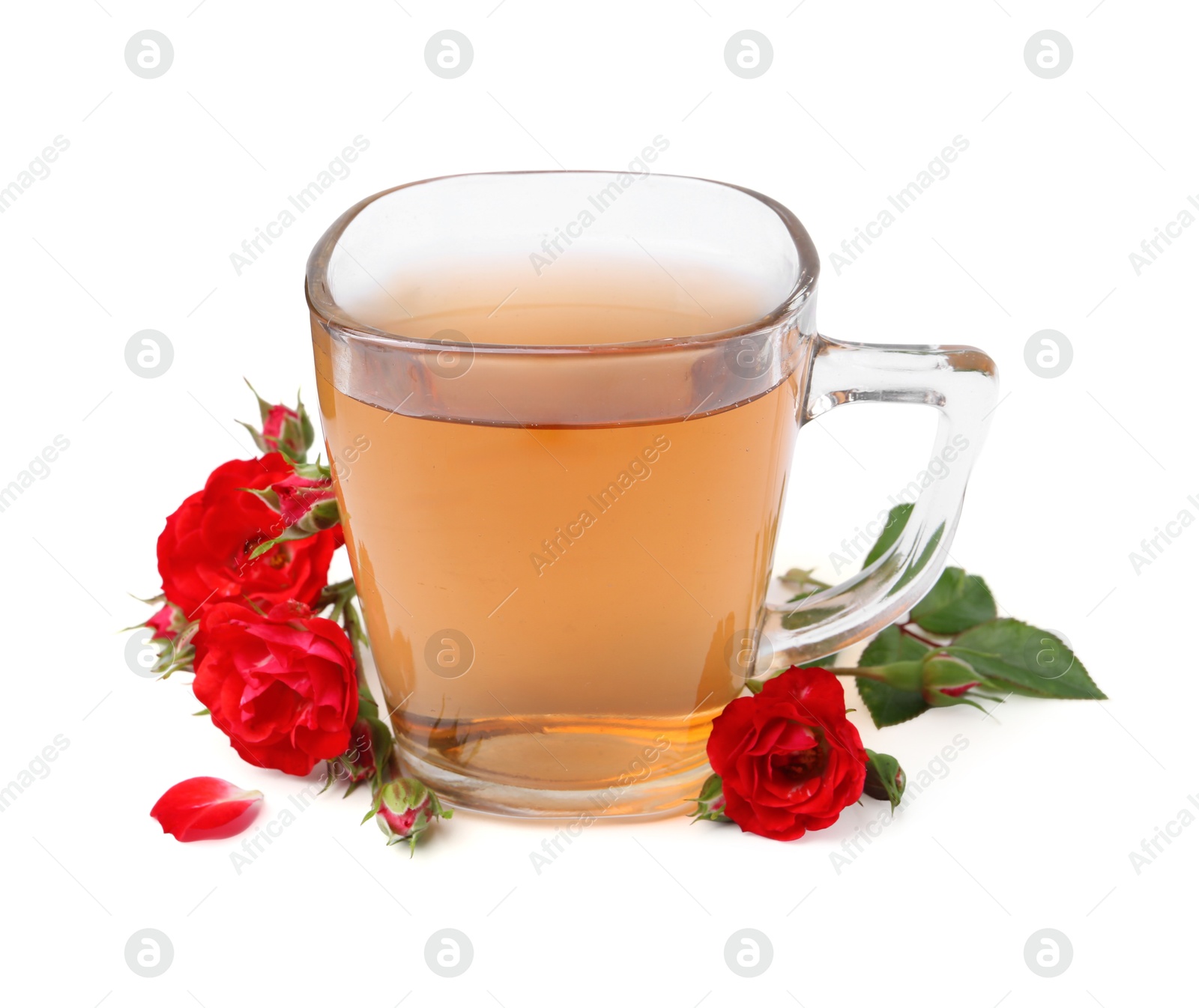 Photo of Tasty rose tea in glass cup and flowers isolated on white