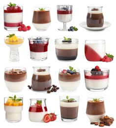 Image of Sweet panna cotta desserts isolated on white, set