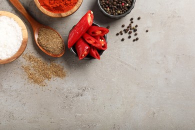Photo of Different aromatic spices on gray textured table, flat lay. Space for text