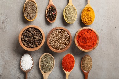 Photo of Different aromatic spices on gray textured table, flat lay
