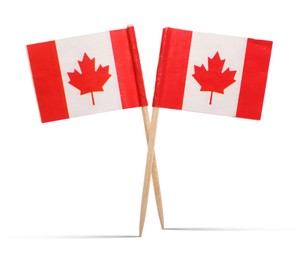 Image of Small paper flags of Canada on white background
