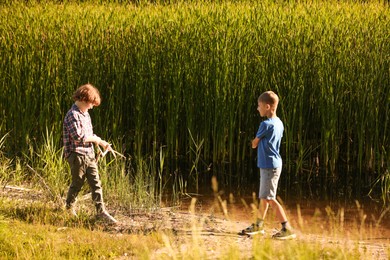Photo of Cute little boys playing in nature on sunny day