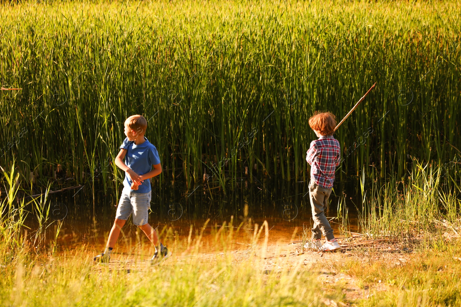Cute children playing in nature on sunny day Photo of Cute children playing in nature on sunny day