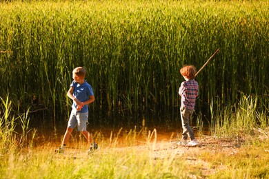 Photo of Cute children playing in nature on sunny day
