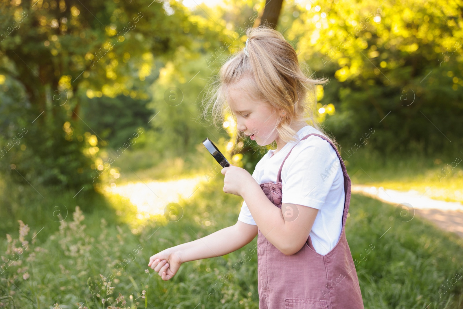 Cute little girl looking at plant through magnifying glass in nature Photo of Cute little girl looking at plant through magnifying glass in nature