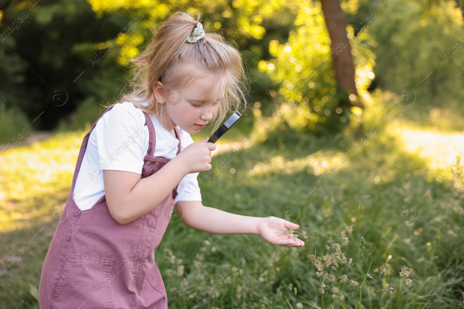 Cute little girl looking at plant through magnifying glass in nature Photo of Cute little girl looking at plant through magnifying glass in nature