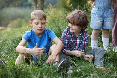 Photo of Children spending time in nature on summer day