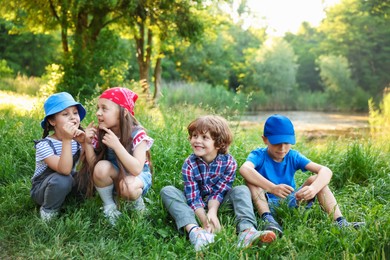Photo of Group of children spending time in nature
