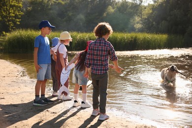 Photo of Children and dog with wooden stick in nature