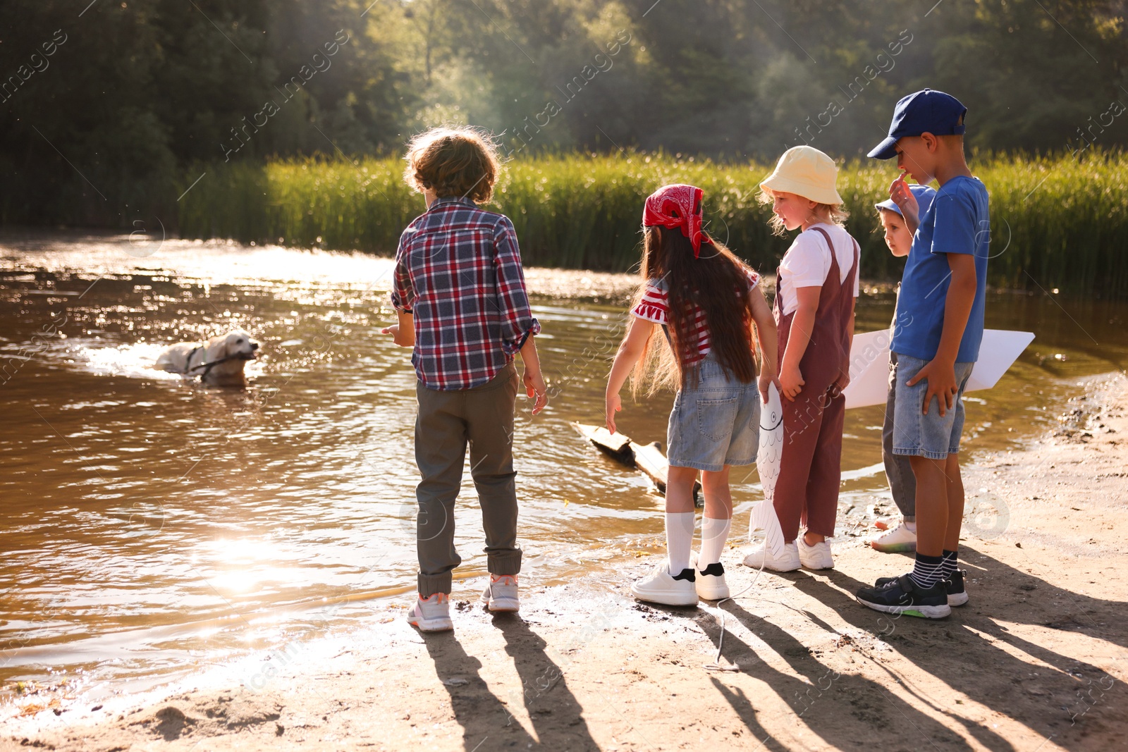 Children and dog with wooden stick in nature Photo of Children and dog with wooden stick in nature