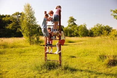 Photo of Children climbing ladder in nature on summer day